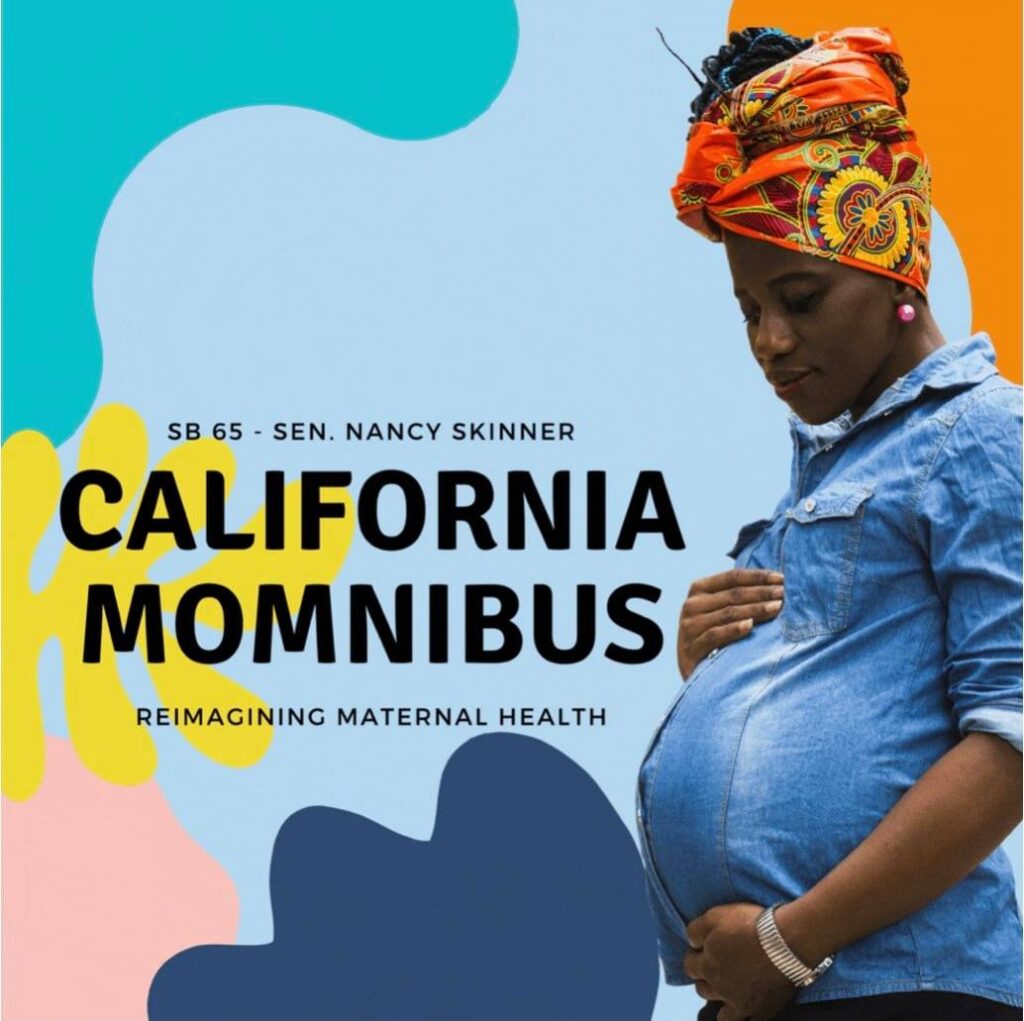 California Momnibus Flyer
