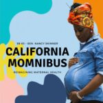 California Momnibus Flyer