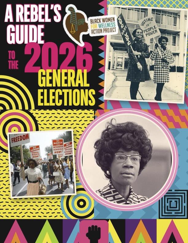 A REBEL'S GUIDE TO 2026 MIDTERM ELECTIONS